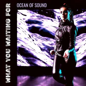 What You Waiting For - Ocean of Sound